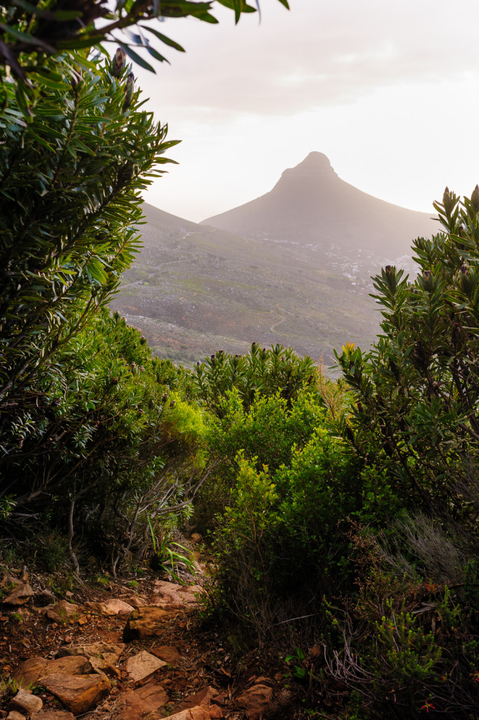 Lion's Head, Cape Town, June 2014