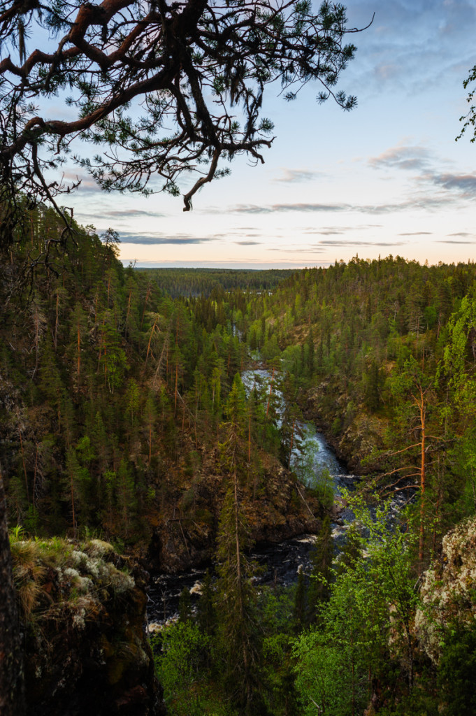 Oulanka National park