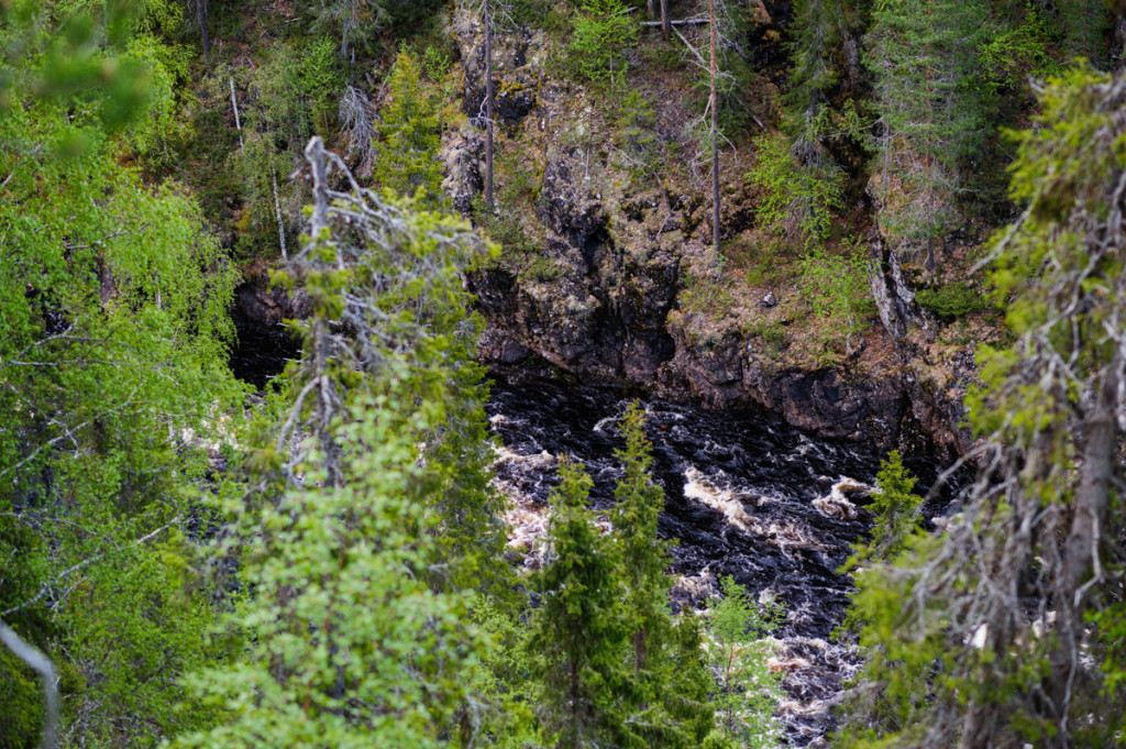 Oulankajoki, Oulanka National park