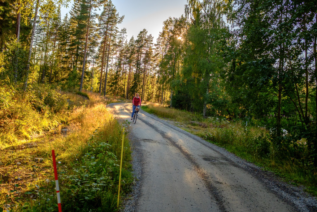 Bike ride